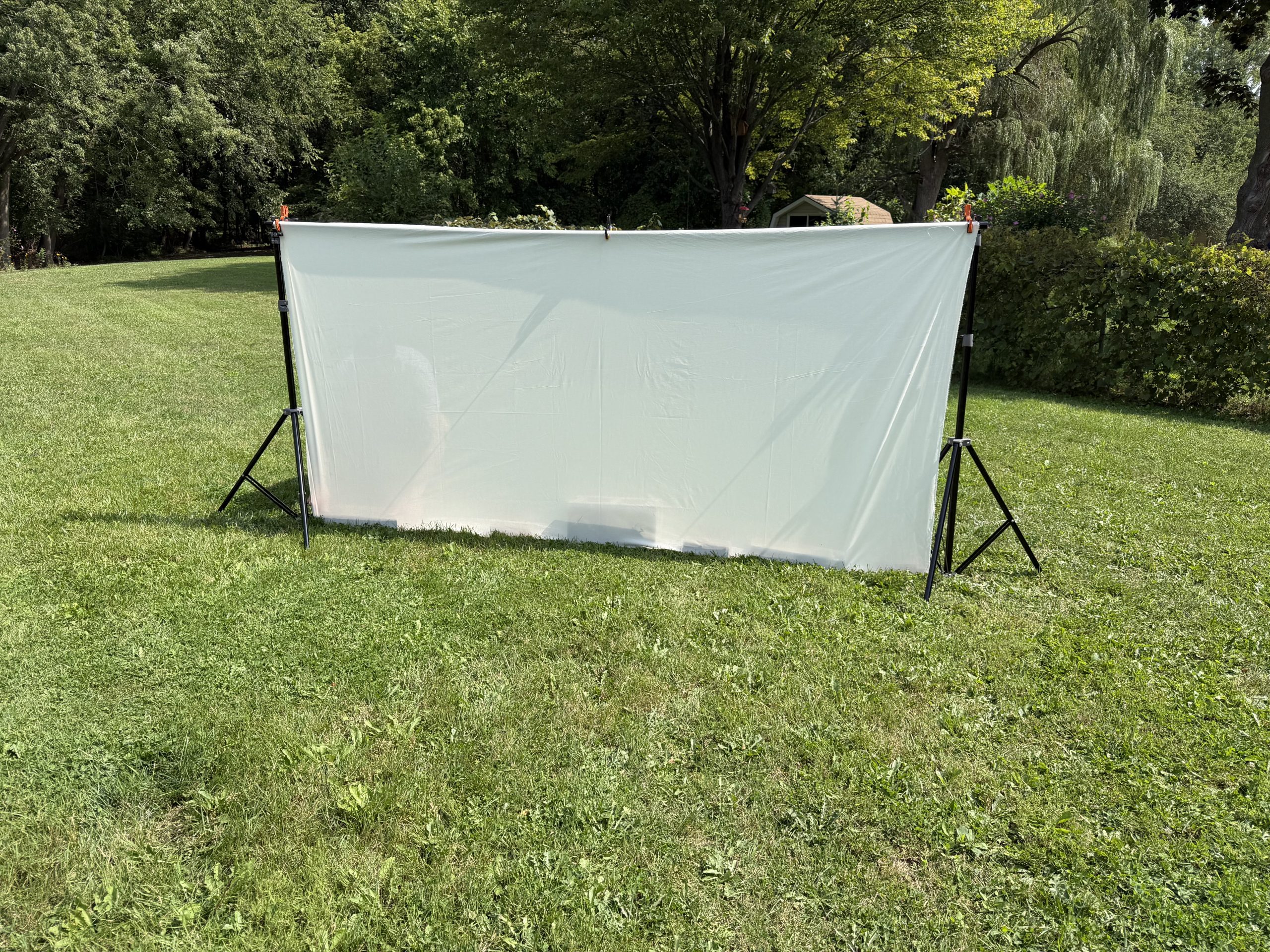 Large blank fabric canvas clipped to backdrop stands in the backyard
