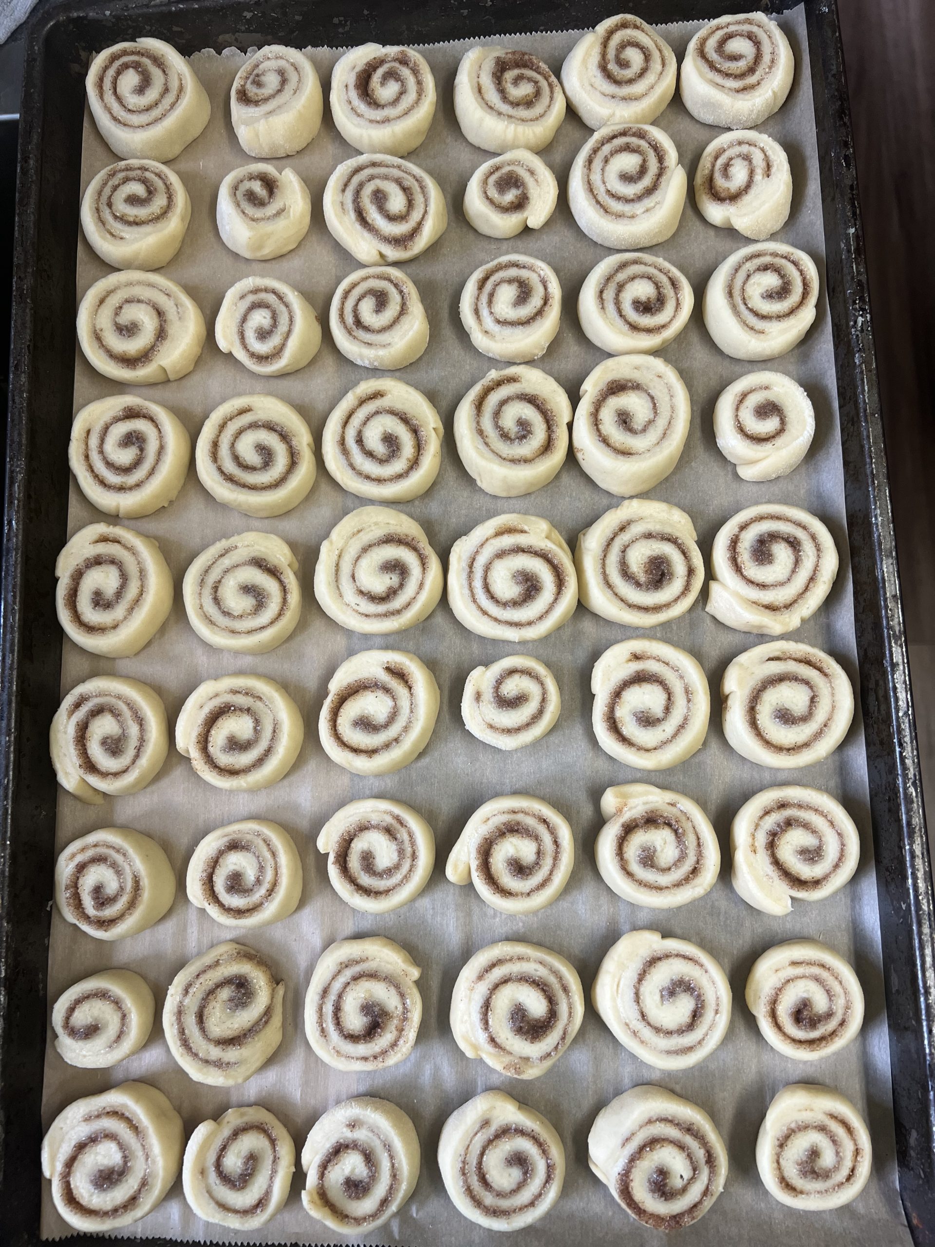 Full sheet pan of silver-dollar mini cinnamon rolls before baking